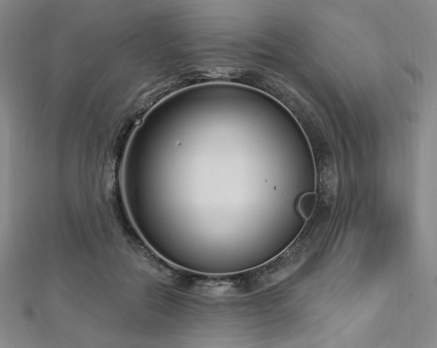 X0000112720554200908201250