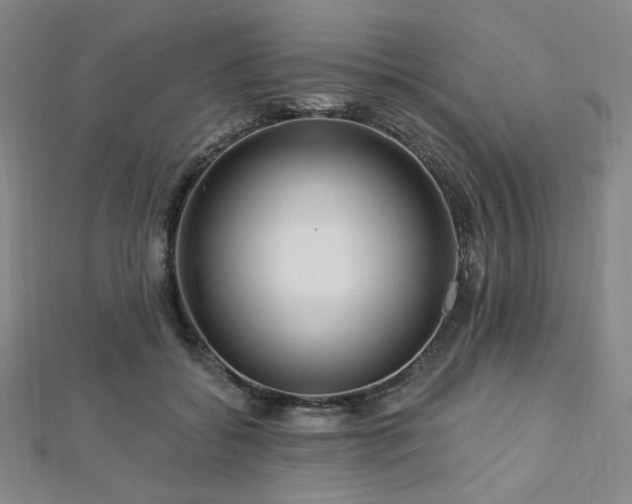 X0000112720556200908201250