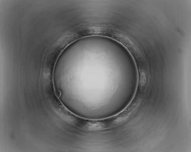 X0000112720557200908201250