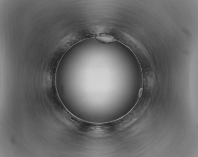 X0000112720558200908201250