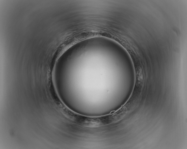 X0000112720559200908201250
