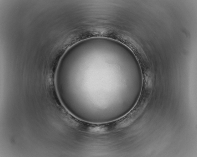 X0000112720561200908201250