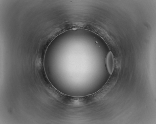X0000112720564200908201250
