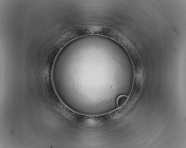 X0000112720565200908201250