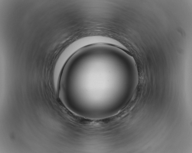 X0000112720566200908201250