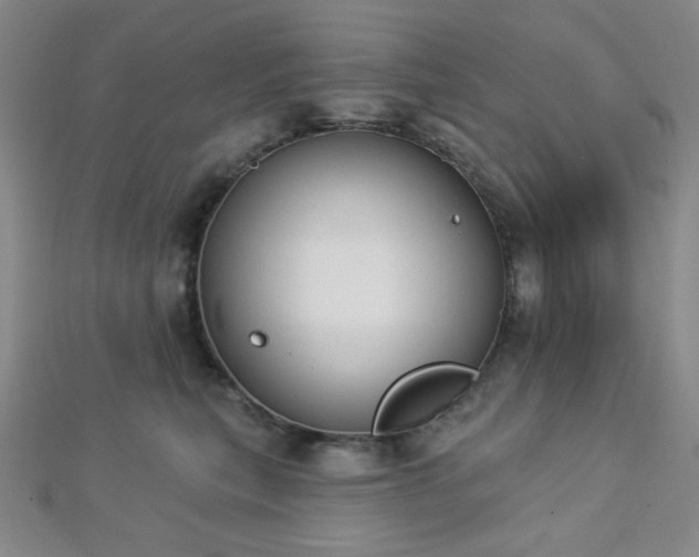 X0000112720567200908201250