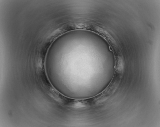 X0000112720569200908201250