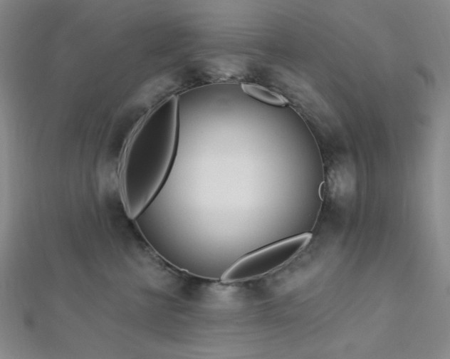 X0000112720570200908201250
