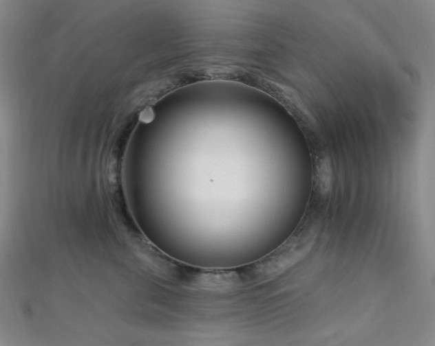 X0000112720571200908201250