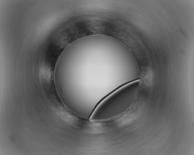 X0000112720574200908201251