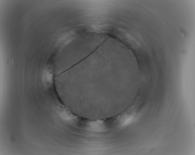 X0000112720576200908201251