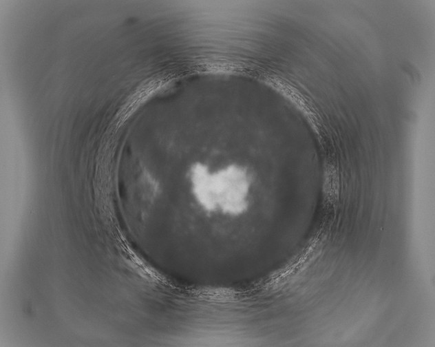 X0000112720577200908201250