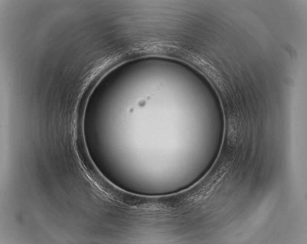 X0000112720578200908201250