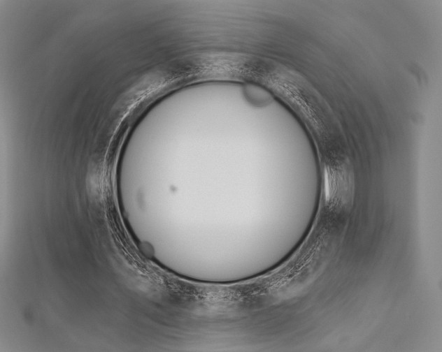 X0000112720579200908201250