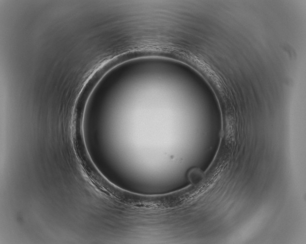 X0000112720580200908201250