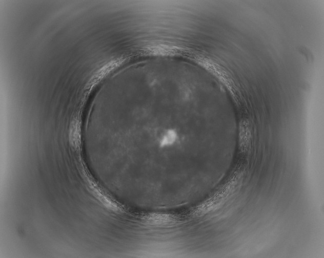 X0000112720581200908201250