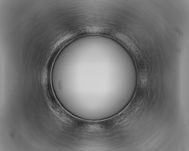 X0000112720583200908201250