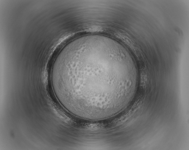 X0000112720584200908201250