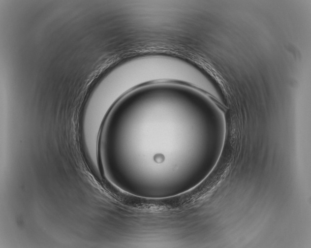X0000112720585200908201250