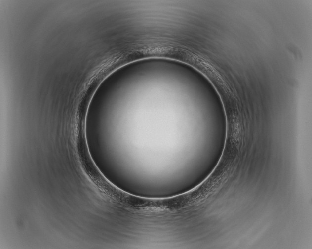 X0000112720586200908201250