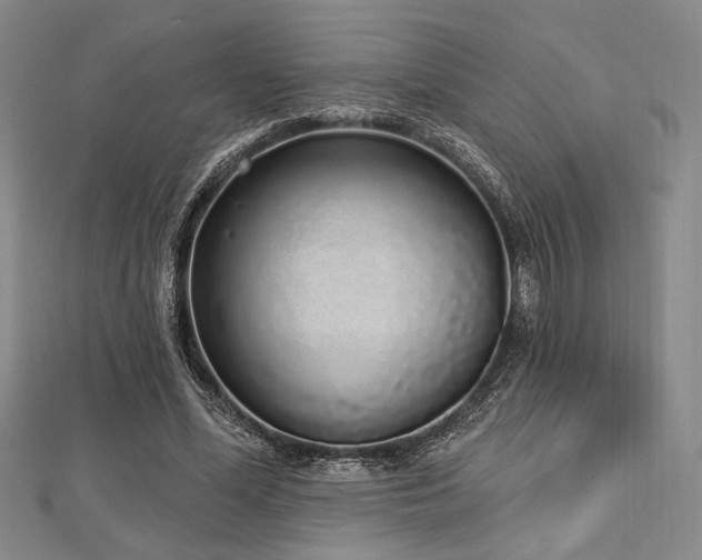 X0000112720588200908201250