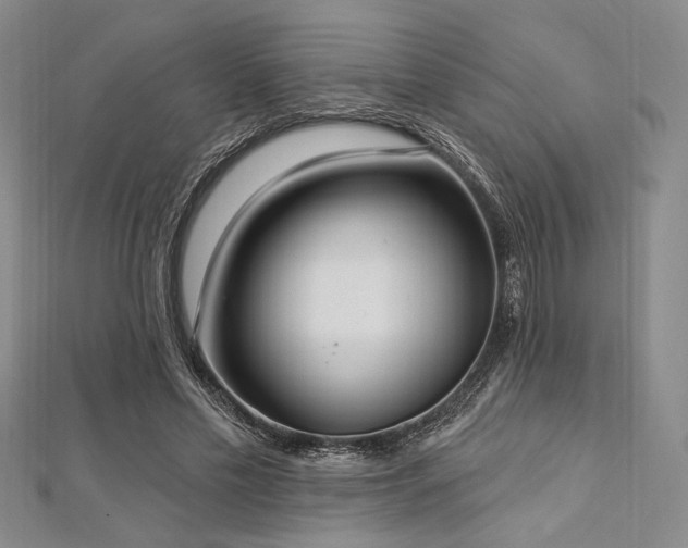 X0000112720589200908201250
