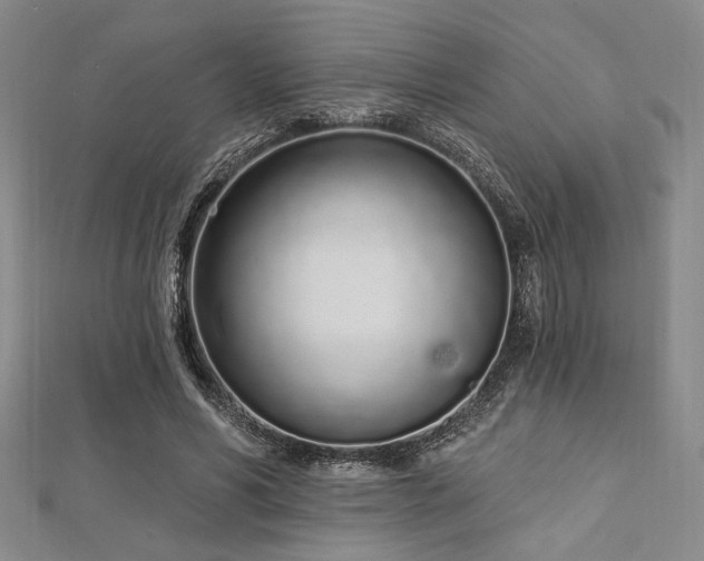X0000112720590200908201250