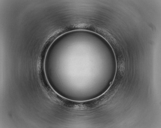 X0000112720591200908201250