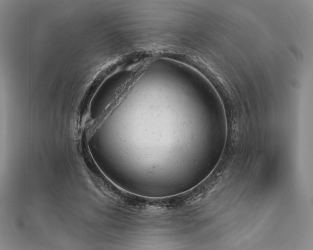 X0000112720592200908201250