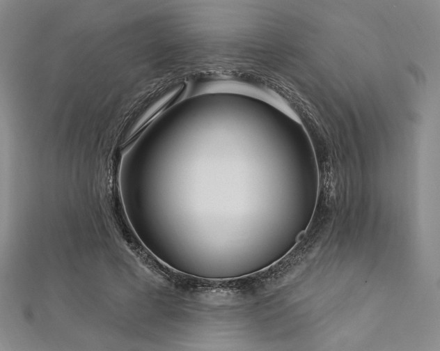 X0000112720593200908201250