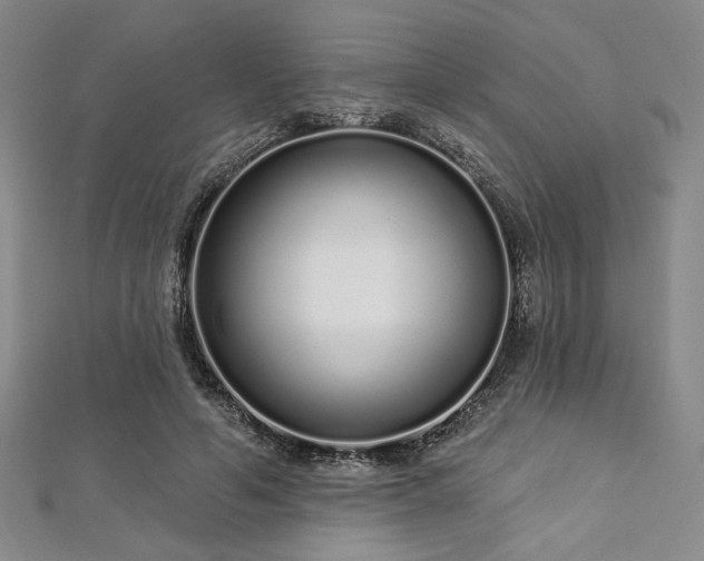 X0000112720594200908201250