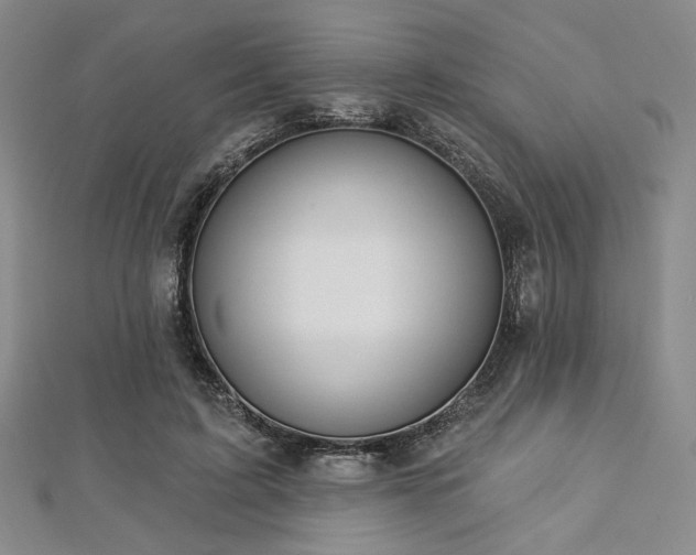 X0000112720595200908201250