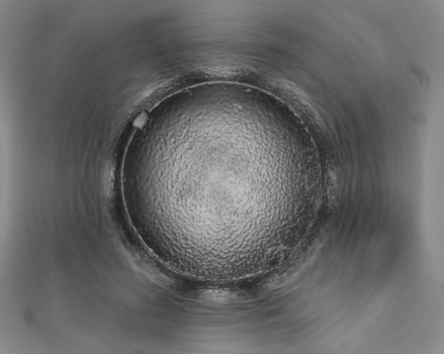 X0000112720596200908201250