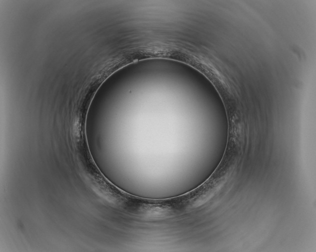X0000112720597200908201250
