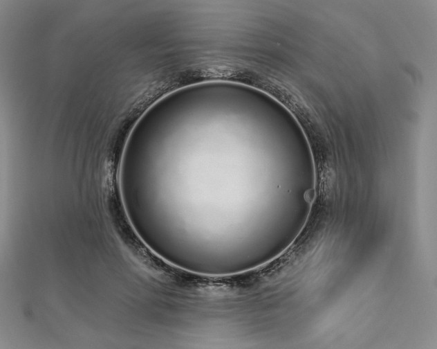 X0000112720598200908201250