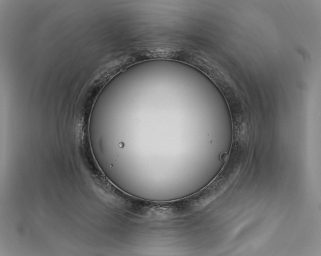 X0000112720599200908201249