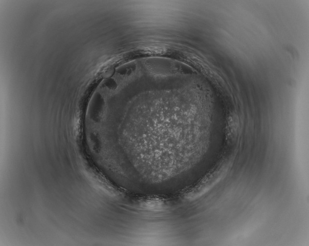 X0000112720600200908201249