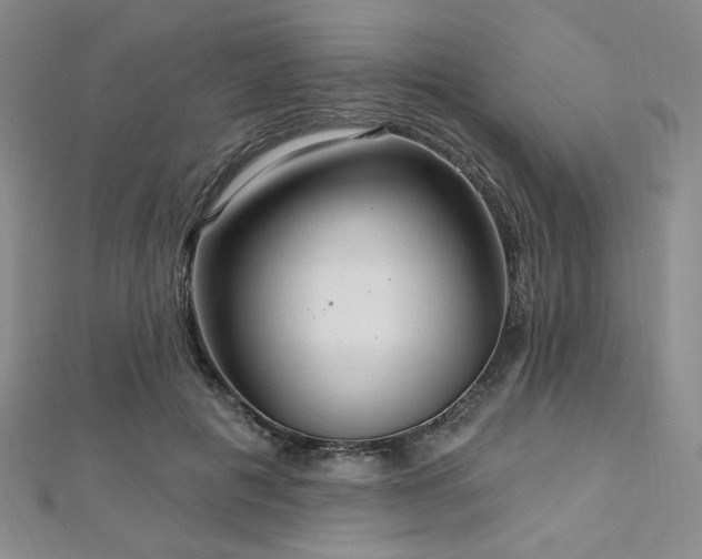 X0000112720601200908201249