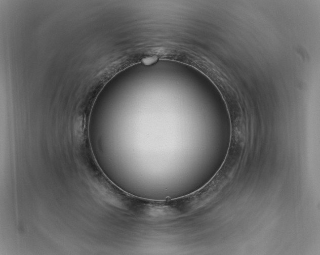 X0000112720605200908201249