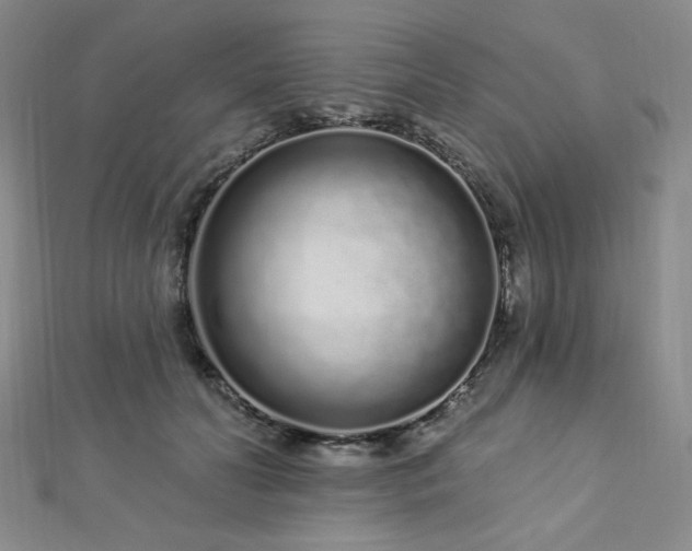 X0000112720606200908201249