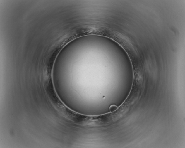 X0000112720607200908201249