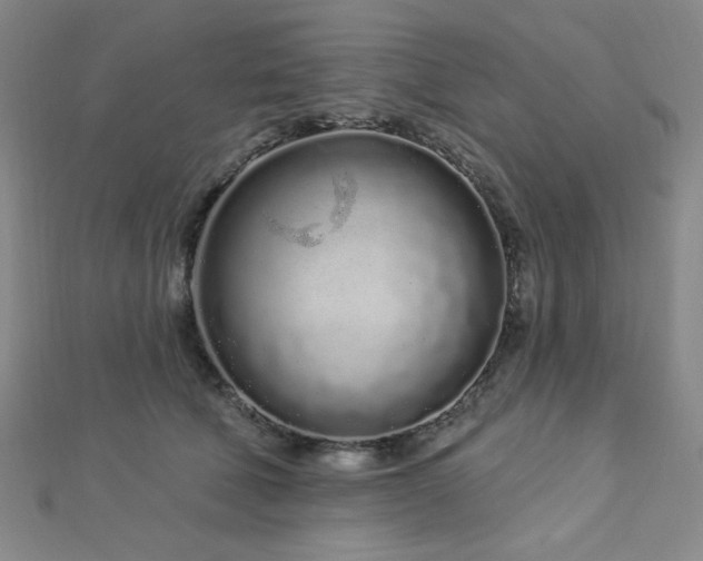 X0000112720610200908201249