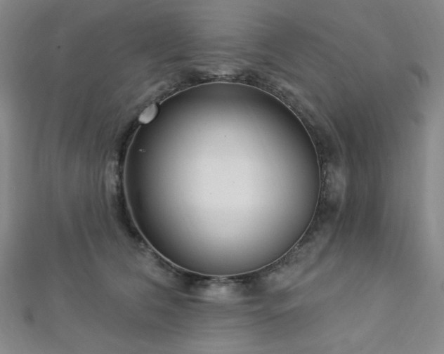 X0000112720612200908201249
