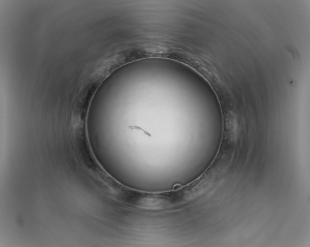 X0000112720614200908201249