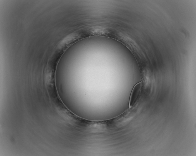 X0000112720619200908201249