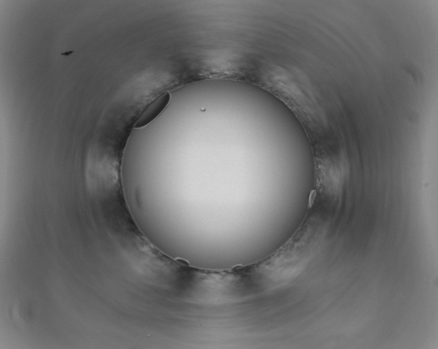 X0000112720621200908201249