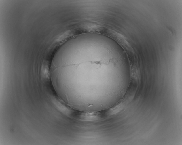 X0000112720622200908201249