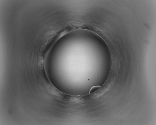 X0000112720624200908201249