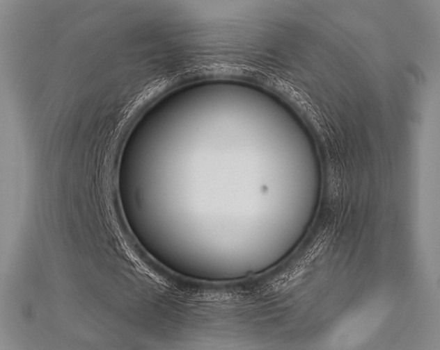 X0000112720625200908201248