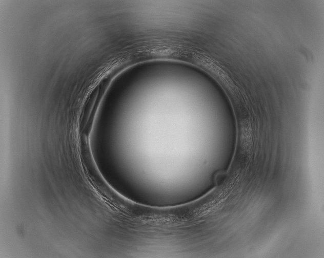 X0000112720626200908201249